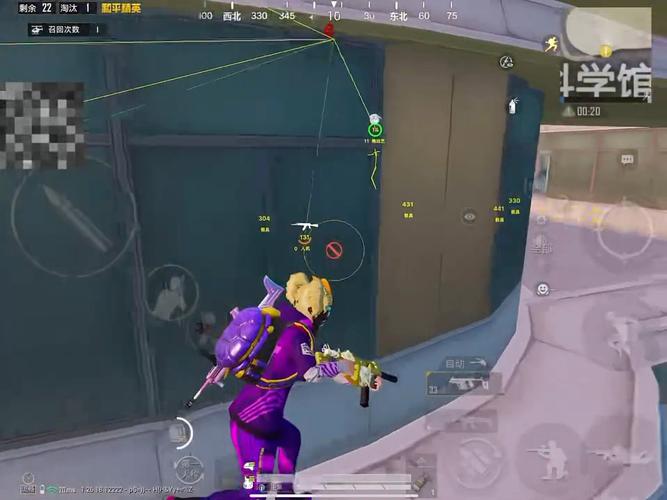 玩家社区对和平精英辅助软件的看法调查